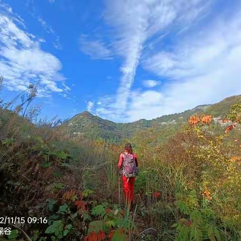 20221115桥沟咬草岩蚱蜢槽九丈岩五搅撇中环线