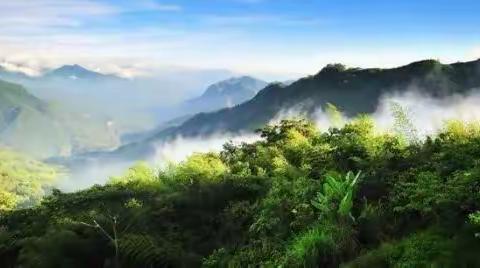 神奇的阿里山