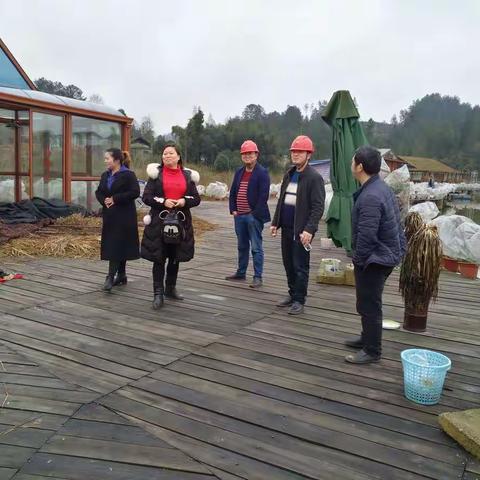 双星水上乐园拆迁工作进度