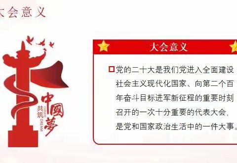 喜迎二十大 习语润心田 童心共成长——汶上学区刘楼小学教育实践活动