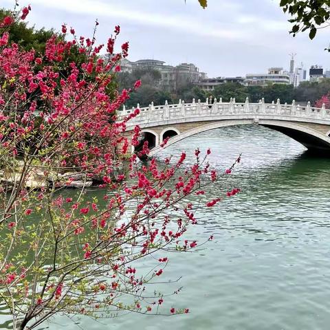 《花开春路早》