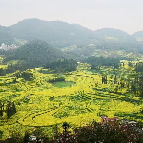 《花开春路早》