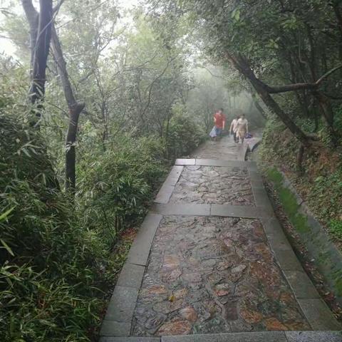 雨雾中登山。