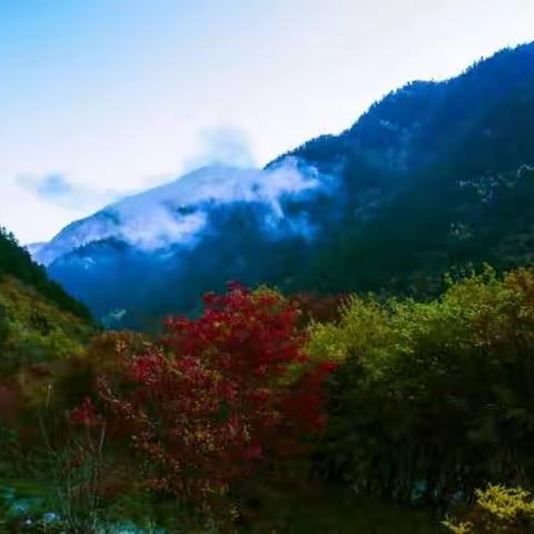深秋九寨沟。