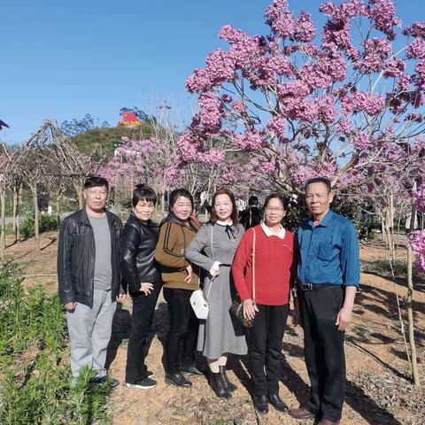 新田联安赏花2023.农历初十