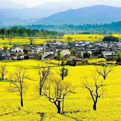 闲说安徽