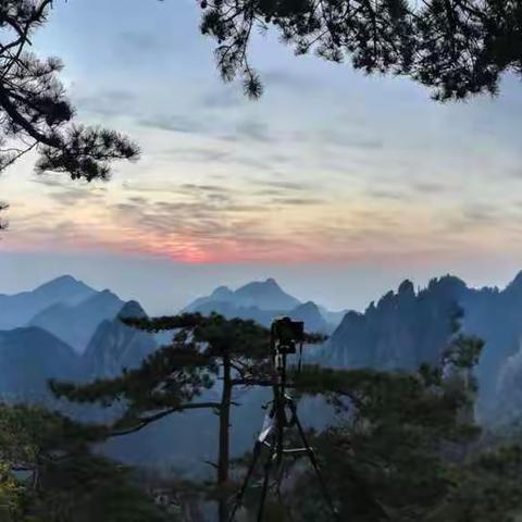 春到黄山