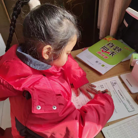 居家学习小标兵，不负韶华好榜样——东古风小学网课学习标兵实记