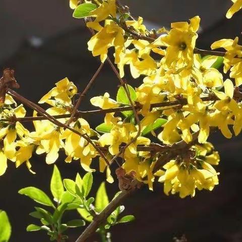 2019年义务教育阶段班主任培训班学习心得