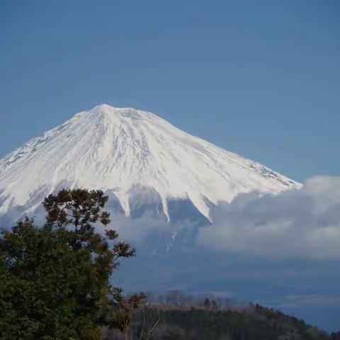 富士山下