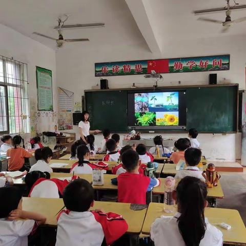 崇仁县孙坊镇中心小学2022年春季高校音体美专业实习支教考核工作会