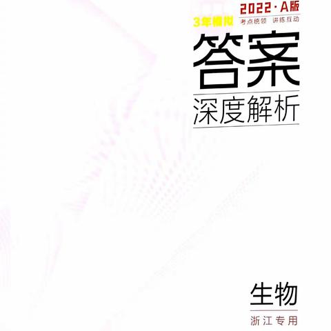 答案