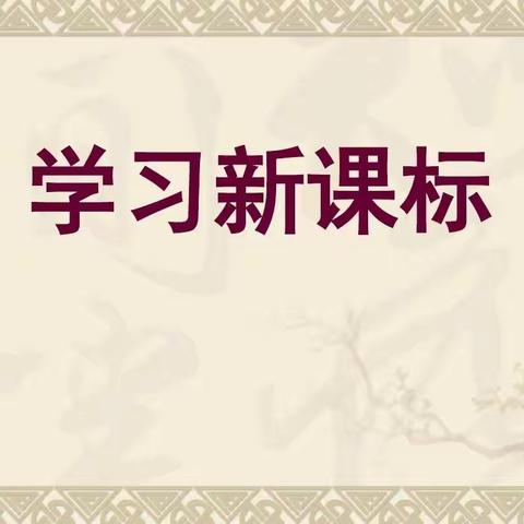 学习新课标  蓄能向未来——车站小学各学科开展新课标学习活动