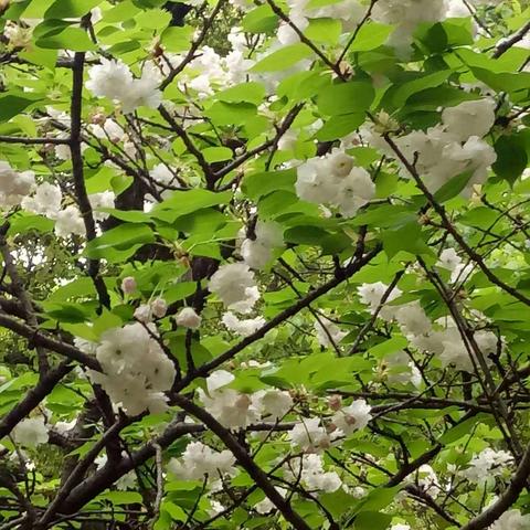 书记生日快乐！