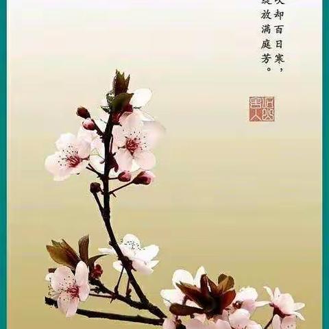 桃李春语  线上花开——娄星区石井镇河北小学开展教材教法线上培训