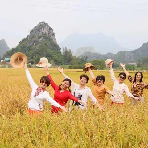 又是一年陌上秋，马兰稻飘香