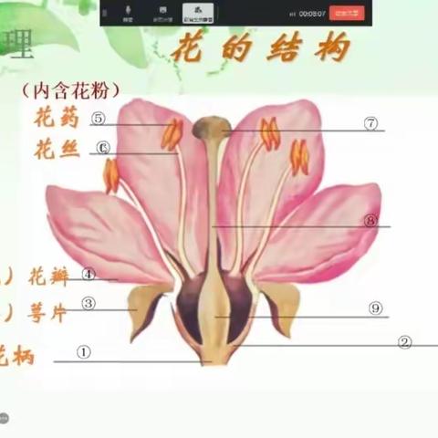 “生”临其境，“物”里看花——记德州九中明德校区生物组骨干教师示范课活动圆满成功