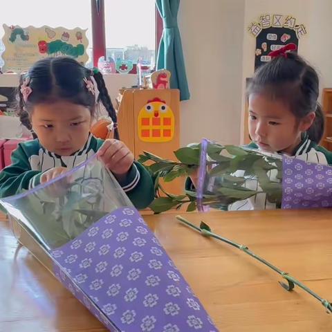 德茂社区办园点—小A班三八女神节活动🎡