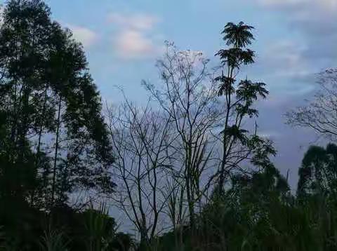 党建引领，展巡教之路——大董小学巡教交流活动