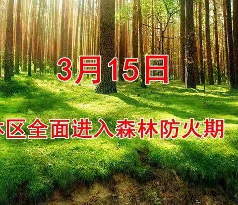 林区3月15日进入防火期啦！