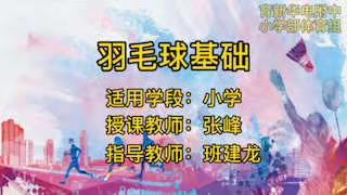 羽毛球基本技术集合版——育新华电附中小学部体育组