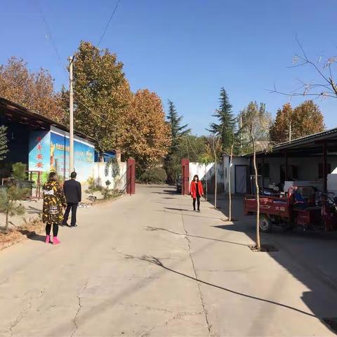 工信局2018年秋冬季绿化10月30日工作进展