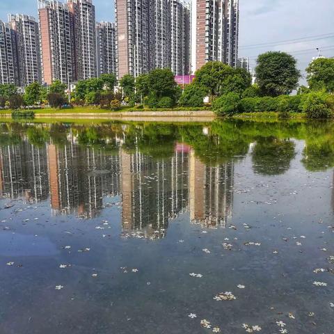 象湖五月水清平