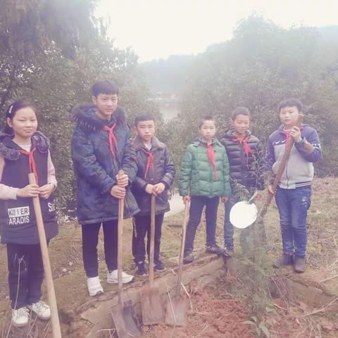 大兴小学2019年植树节活动简报