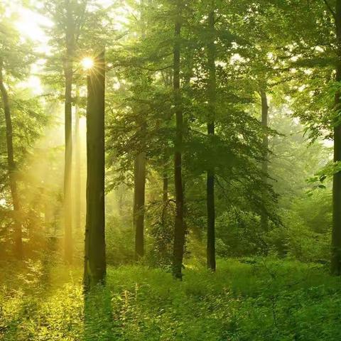 三月雷锋行   让爱在传递