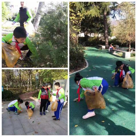 创城活动我先行   捡拾垃圾做表率