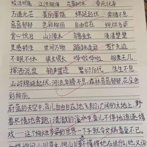 积累本，书写美观整洁