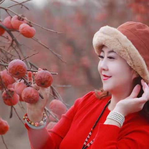又见柿子红
