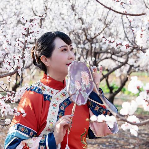 春风十里