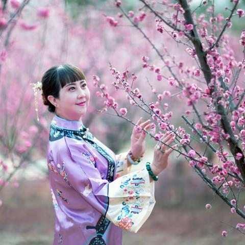 梅香如故