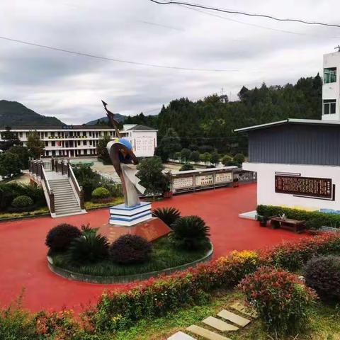 苍溪县东青镇禅林小学校学生食堂招工公告