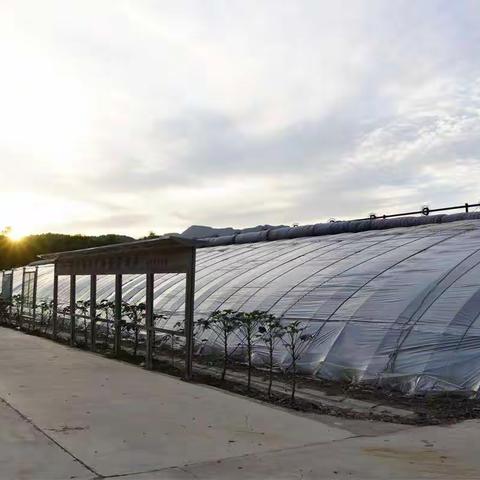 为了您和家人的健康，我们是认真的……