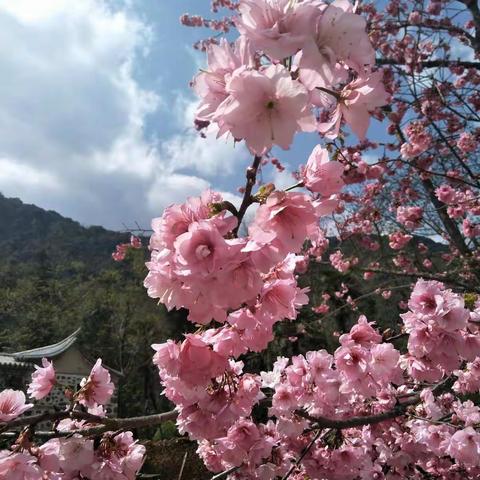 玛朗小学庆祝三八活动