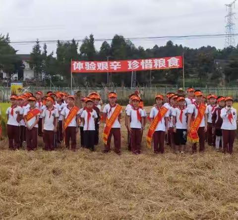 体验艰辛  节约粮食，      绵阳南山中学双语学校，    2018级10班社会实践活动