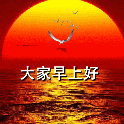wang / 美篇 meipian 《九悟人生 》于布里斯班 2025年7月31日