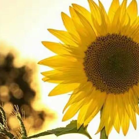 维护小区环境整洁 提升物业服务品质