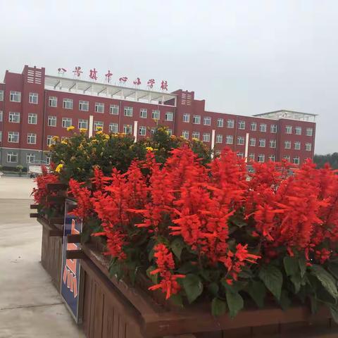 榆树市八号镇中心小学校