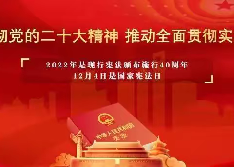 成长路上，与法同行——吉阳区河东小学开展“国家宪法日”系列教育活动 护航未成年成长路