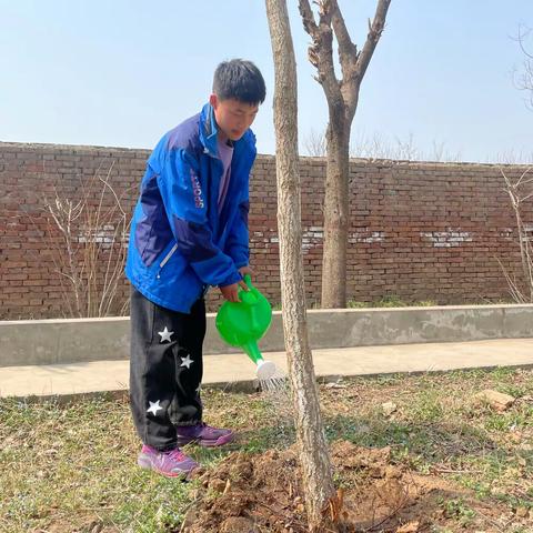 爱绿护绿，美化校园——鄠邑区白庙初中植树节主题实践活动