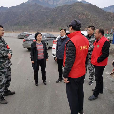 市领导王建霞到管陶乡督导清明节期间森林防火工作