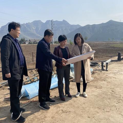 市领导王建霞督导推进重点旅发项目