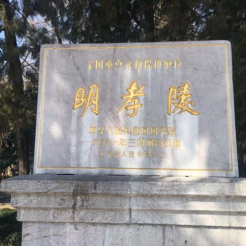 我行我素的美篇