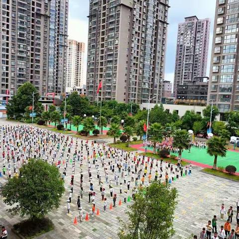 六（1）班苗苗中队开学第一周系列活动