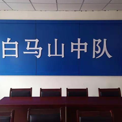 市中区消防救援大队主官深入白马山消防救援站检查指导新冠病毒肺炎防控工作