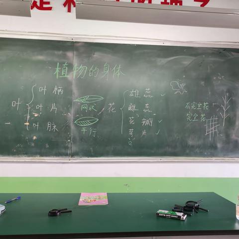 走入科学的世界