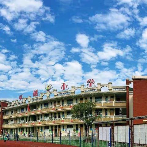 【小太阳卓越小学】“粮食安全人人有责，爱粮节粮从我做起”